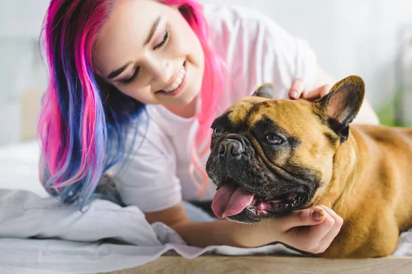 Foyer sélectif de la fille avec des cheveux colorés caressant et regardant mignon bouledogue français tout en étant couché dans le lit — Photo de stock