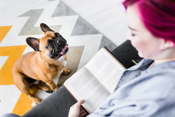 Selektiver Fokus des Mädchens mit buntem Haar, das Buch liest und französische Bulldogge sitzt und Mädchen ansieht — Stockfoto