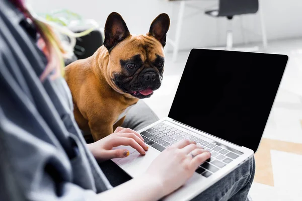 Abgeschnittene Ansicht von niedlichen Bulldogge sitzt in der Nähe von Mädchen mit Laptop — Stockfoto