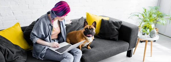 Plan panoramique de bulldog français assis près de la fille avec des cheveux colorés assis sur le canapé et en utilisant un ordinateur portable — Photo de stock