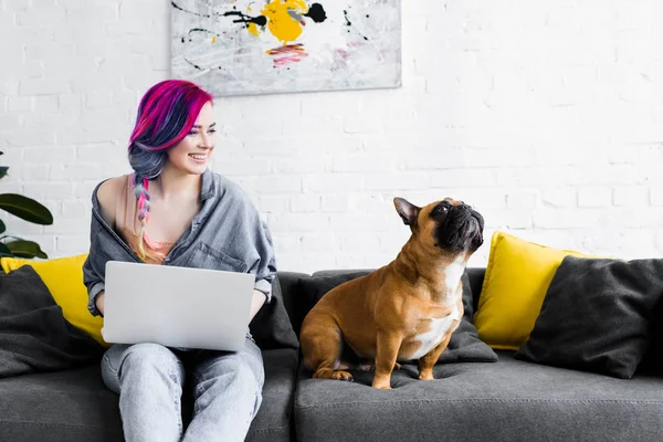 Attraktives Mädchen mit bunten Haaren sitzt auf dem Sofa, benutzt Laptop und schaut französische Bulldogge an — Stockfoto