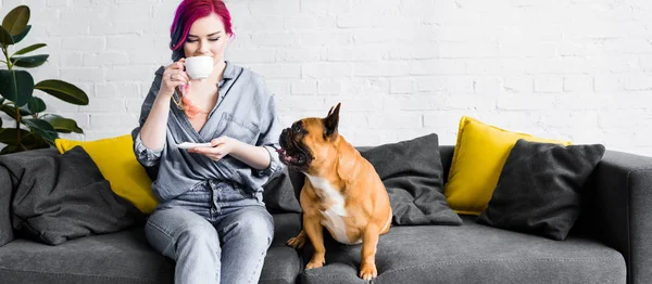 Colpo panoramico di ragazza attraente con i capelli colorati seduti sul divano e bere caffè vicino bulldog francese — Foto stock