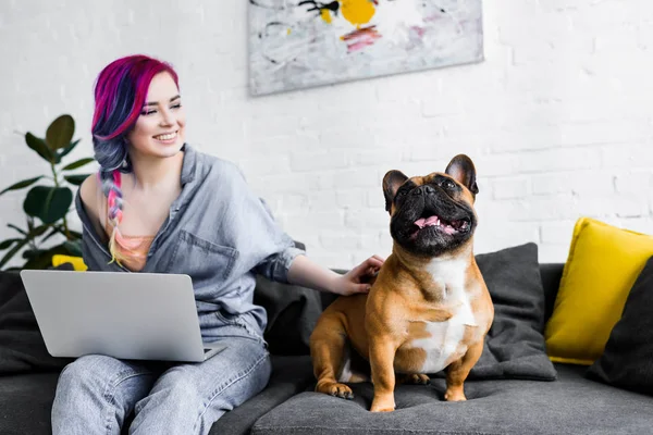 Menina atraente com cabelo colorido sentado no sofá, usando laptop e acariciando bulldog francês — Fotografia de Stock