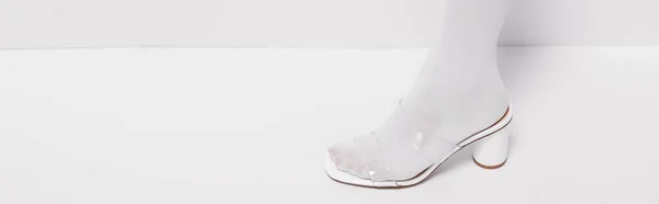 Panoramic shot of stylish woman in shoe on white with copy space — Stock Photo