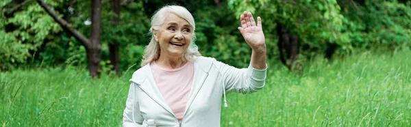 Panoramic shot of cheerful senior woman with grey hair waving hand in park — Stock Photo
