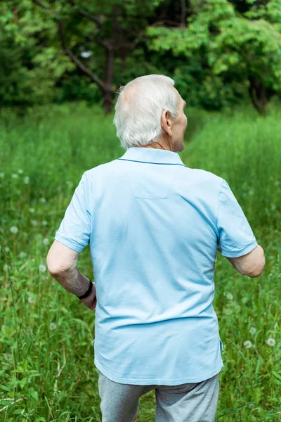 Пенсионер с седыми волосами стоит в зеленом парке — стоковое фото