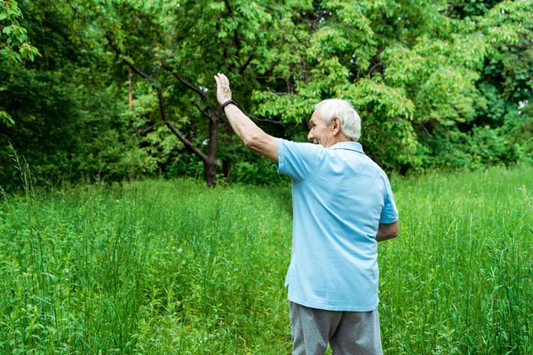 Hombre mayor feliz con el pelo gris agitando la mano en el parque - foto de stock