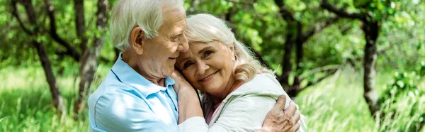 Panoramaaufnahme eines fröhlichen älteren Mannes, der seine glückliche Frau mit grauen Haaren umarmt — Stockfoto