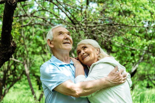 Fröhlicher älterer Mann umarmt glückliche Frau mit grauen Haaren und blickt auf grünen Baum — Stockfoto