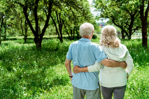 Back view pensioner hugging senior wife in green park — Stock Photo