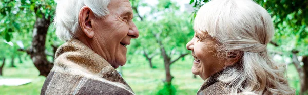 Panoramabild des älteren Ehemannes, der die glückliche Rentnerin in karierter Decke betrachtet — Stockfoto