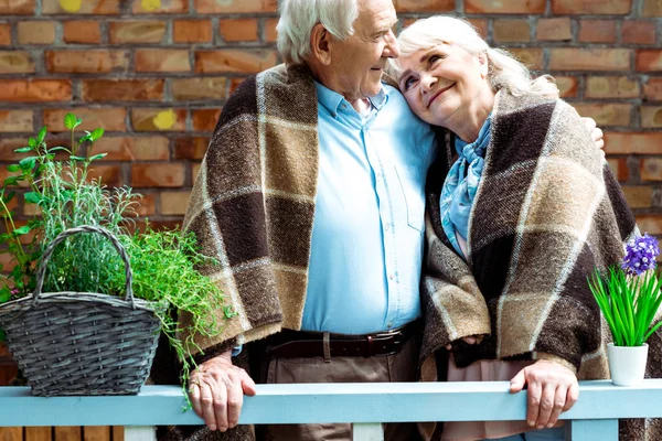 Joyeux pensionnés souriant tout en se tenant dans des couvertures à carreaux près des pots de fleurs — Photo de stock