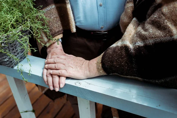 Cropped view of senior woman holding hands with man near green plant — Stock Photo