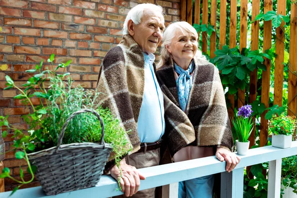 Selective focus of happy senior wife and husband standing in plaid blankets near plants — Stock Photo