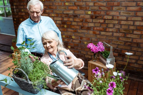 Senior disabled woman sitting in wheelchair and watering plant near husband — Stock Photo
