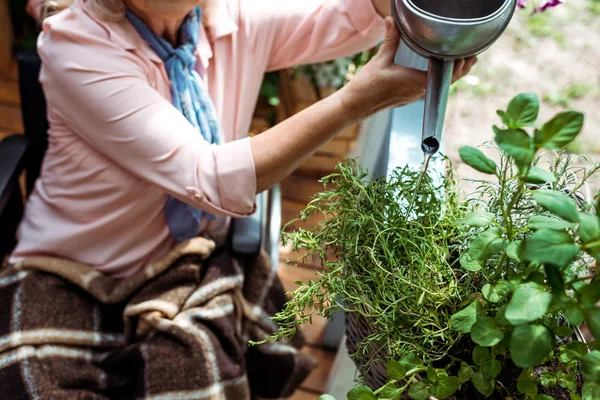 Cropped view of senior disabled woman sitting in wheelchair and watering plant — Stock Photo