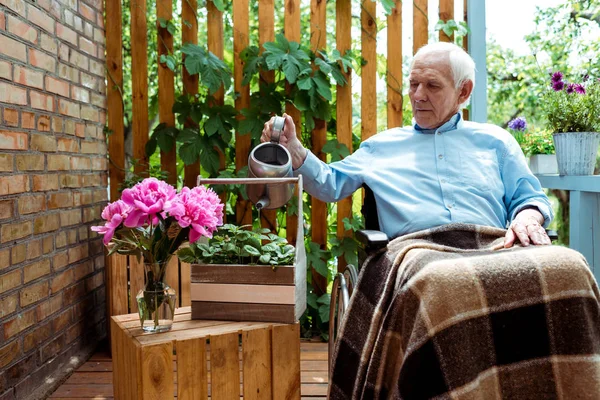 Senior handicapé avec les cheveux gris assis dans un fauteuil roulant et l'usine d'arrosage — Photo de stock