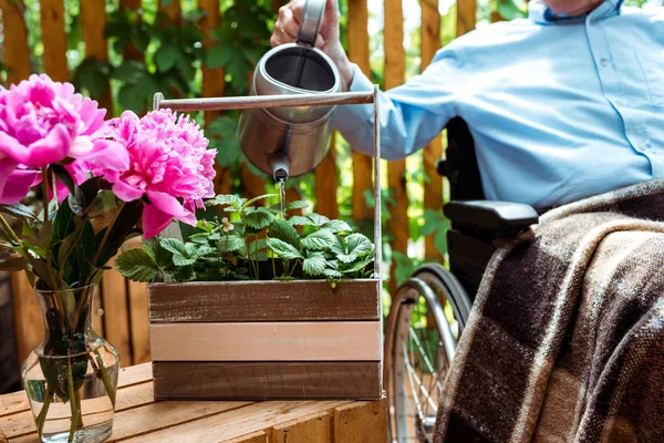 Ausgeschnittene Ansicht eines behinderten Seniors, der im Rollstuhl sitzt und eine Gießanlage betreibt — Stockfoto