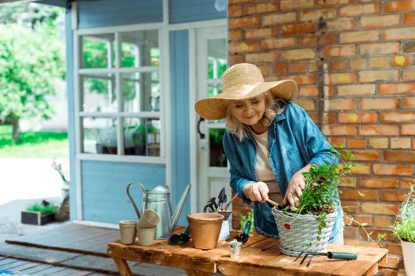 Fröhliche Seniorin mit Strohhut hält Schaufel in der Nähe von Anlage — Stockfoto