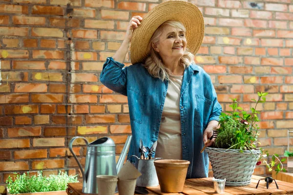 Cheerful senior woman touching straw hat and holding rake near plant — Stock Photo