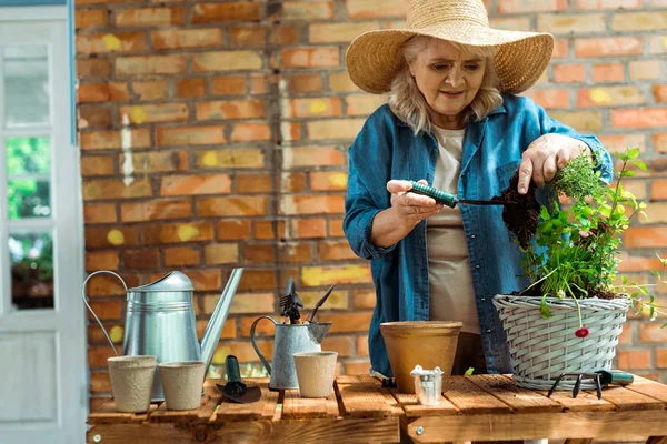 Senior woman in straw hat looking at ground while standing near plant — Stock Photo