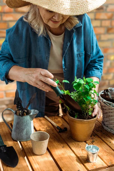 Retired woman in straw hat holding shovel near flowerpot with plant — Stock Photo