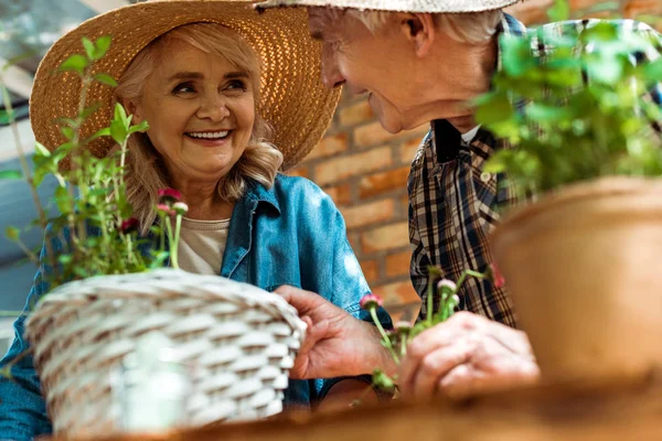 Selective focus of senior woman in straw hat smiling with husband near green plants — Stock Photo