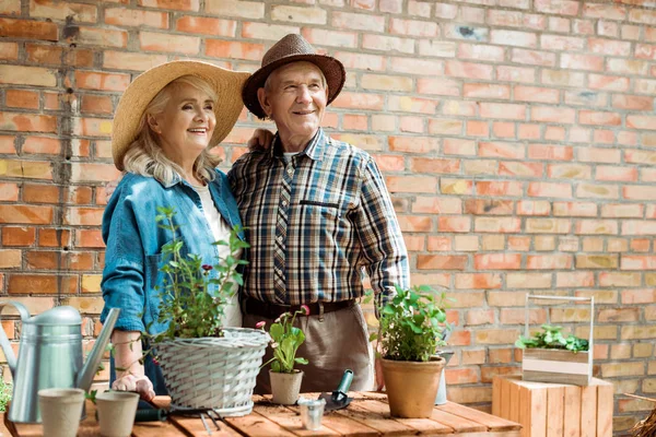 Senior woman in straw hat standing with husband near green plants — Stock Photo