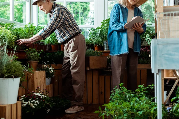 Cropped view of senior woman looking at notebook near retired husband — Stock Photo