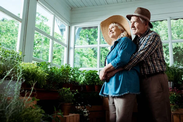 Low angle view of happy senior man hugging cheerful wife in straw hat — Stock Photo