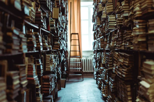 Interior of library with books on wooden shelves and ledder — Stock Photo