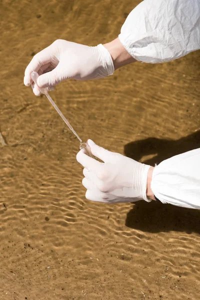 Vista parcial del inspector de agua con guantes de látex tomando muestras de agua en el río - foto de stock