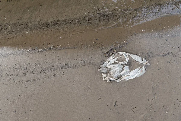 Vista superior do saco de plástico na areia molhada — Fotografia de Stock