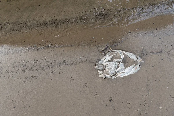 Top view of plastic bag in wet sand — Stock Photo