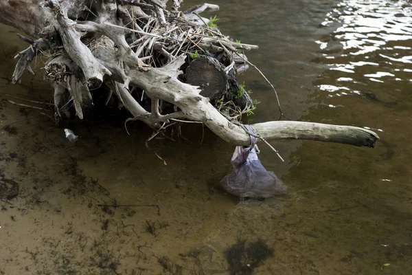 Bolsa de plástico y madera aserrada en agua sucia en el río - foto de stock