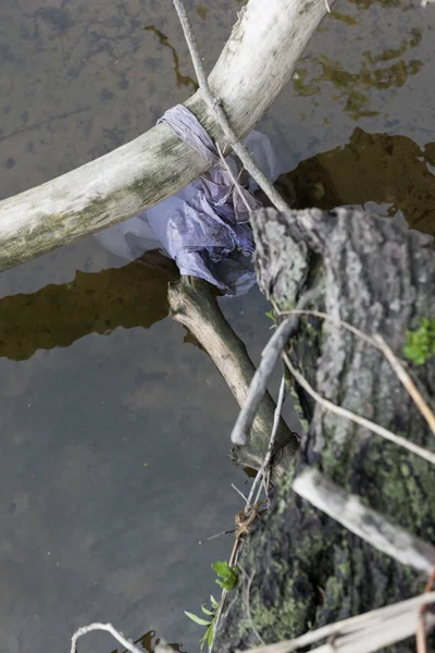 Enfoque selectivo de la bolsa de plástico y la madera en agua sucia en el río - foto de stock