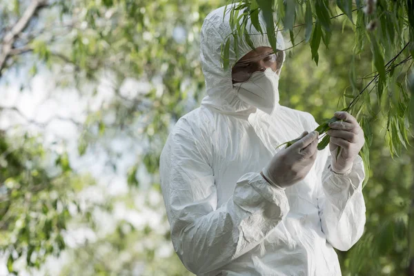 Эколог в защитном костюме и респираторе касается листьев деревьев в лесу — стоковое фото