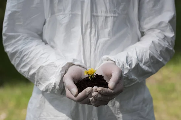 Partial view of ecologist in latex gloves holding handful of soil with dandelion — Stock Photo