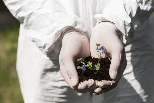 Частковий вид на еколога в латексних рукавичках, що тримає жменьку землі з квітами — стокове фото