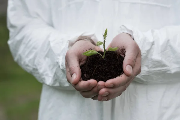 Vista parcial del ecologista sosteniendo puñado de tierra con planta - foto de stock