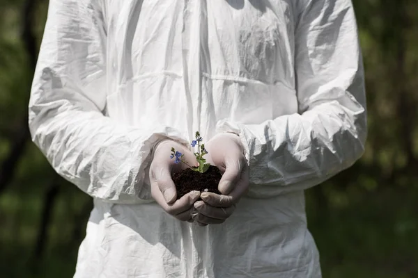 Visão parcial do ecologista em luvas de látex segurando punhado de solo com flores do dia — Fotografia de Stock