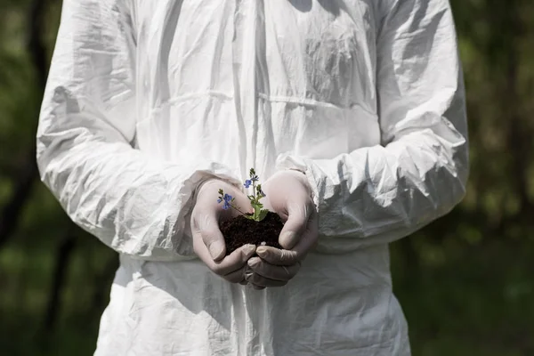 Vue partielle de l'écologiste dans des gants en latex tenant une poignée de terre avec des fleurs de jour — Photo de stock