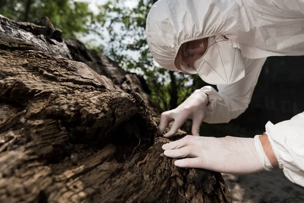 Écologiste en respirateur, lunettes et gants en latex touchant l'écorce d'arbre — Photo de stock