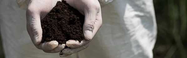 Panoramic shot of ecologist in latex gloves holding handful of soil — Stock Photo