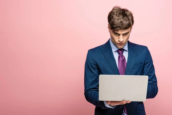 Attentive businessman in suit using laptop isolated on pink — Stock Photo