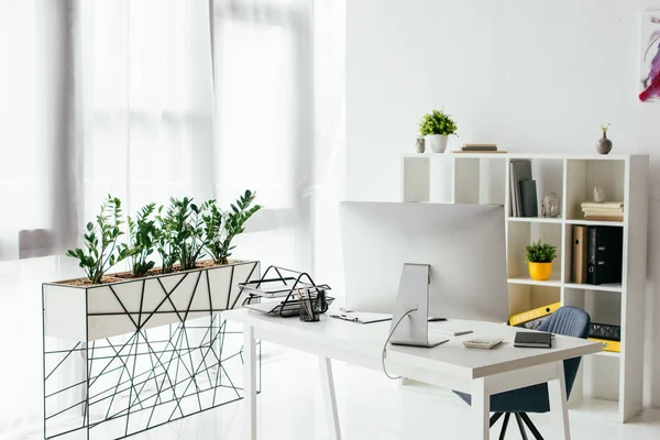 Table with computer and document tray near bookcase and flowerpot with plants — Stock Photo