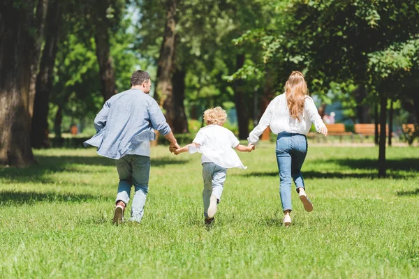 Вид сзади семьи, держащейся за руки и бегающей в парке в дневное время — стоковое фото