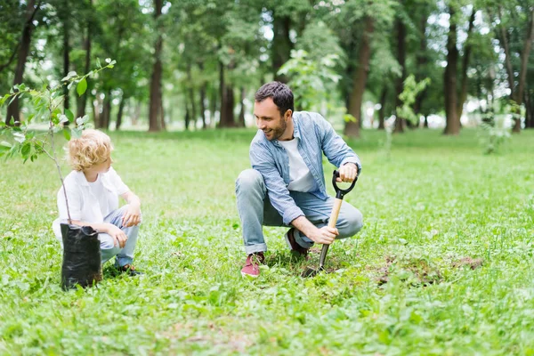 Padre scavare con pala vicino al figlio per piantare piantina di semenzaio nel parco — Foto stock