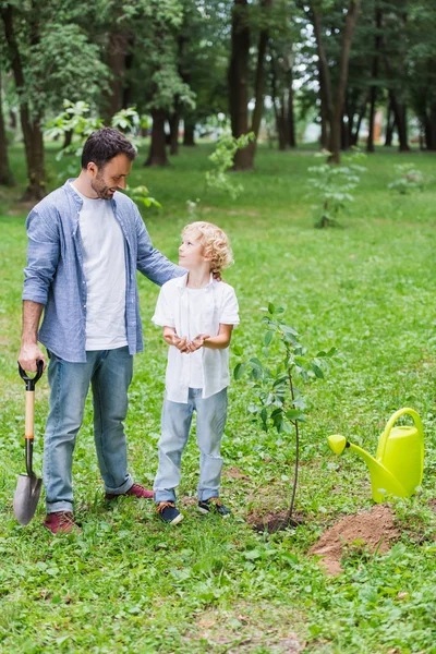 Vater umarmt Sohn mit Schaufel in der Nähe von Keimling im Park — Stockfoto