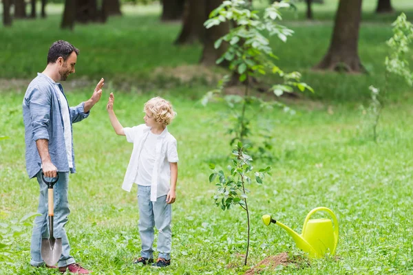 Father and son showing high five gesture during planting seedling in park — Stock Photo